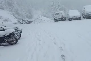 snowfall in Sirmaur