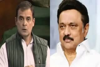 CM MK Stalin thanks Rahul Gandhi