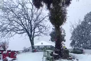 fresh snowfall in mussoorie