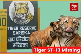 Tiger ST13 missing from Sariska Tiger Reserve