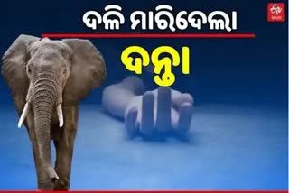 ୪ବର୍ଷର ଶିଶୁକୁ ଦଳିମାରିଦେଲା ଦନ୍ତାହାତୀ, ଭୟରେ ଦୌଡି ପଳାଇଲେ ଦମ୍ପତି