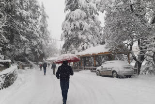 snowfall in himachal pradesh