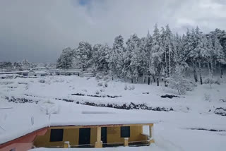 heavy snowfall in tharali