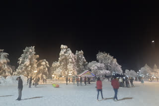 snowfall in shimla