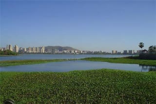 Powai Lake