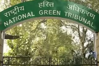 ngt orders Hindustan Zinc fined Rs 25 crore