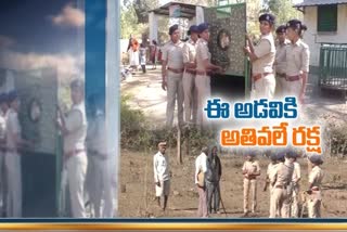 Squad of 7 women foresters guard