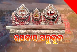 ପବିତ୍ର ଶ୍ରୀପଞ୍ଚମୀ ତିଥି , ଚଳିତ ବର୍ଷ ରଥଯାତ୍ରା  ପାଇଁ ହେବ ରଥ କାଠ  ଅନୁକୂଳ