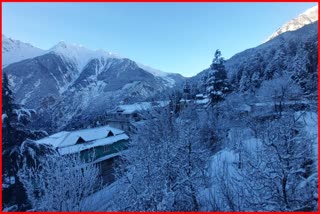 Snowfall stopped in kinnaur