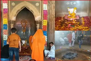 basant panchami in bhojshala dhar