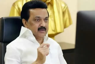 Stalin about Statue Of Equality, tamil nadu cm stalin
