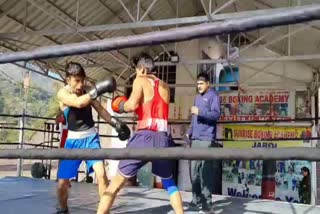 Sundernagar Sunrise Boxing Academy