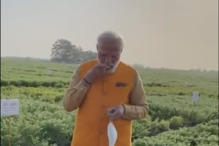 PM has 'chana' at ICRISAT farm at Hyderabad