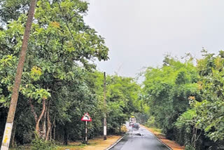 Roads over forested areas, telangana forest roads