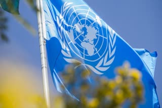 UN staff union