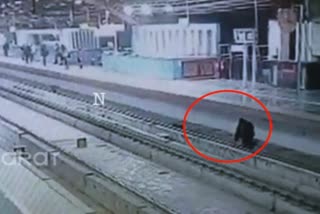 man-busy-scrolling-on-phone-falls-on-delhi-metro-tracks