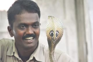 Vava Suresh Heath condition  Vava Suresh at kottayam medical college  vava suresh snake bite kottayam  വാവ സുരേഷിന്‍റെ ആരോഗ്യനില മെച്ചപ്പെട്ടു  വാവ സുരേഷിന് പാമ്പ് കടിയേറ്റു  കോട്ടയം മെഡിക്കല്‍ കോളജ്‌