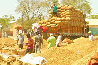 Groundnut