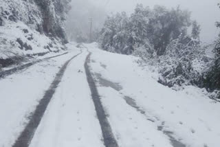 Daria Hill in Arunachal Pradesh receives snowfall after 34-years