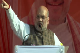 UP Assembly polls: People have to choose between rule of mafia and law, says Amit Shah