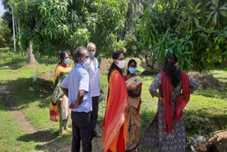 Agricultural experts visited mango farm  Insect infestation in the mango farms of Muthalamada  മുതലമടയിലെ മാന്തോപ്പുകളില്‍ കീടബാധ  മാന്തോപ്പുകളില്‍ സന്ദർശനം നടത്തി കാർഷിക വിദഗ്‌ധർ
