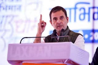 Rahul gandhi