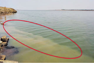 Krishna River Pollution