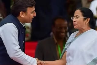 Mamata says will support Akhilesh Yadav in UP elections