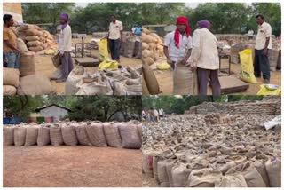 Record paddy purchased in Chhattisgarh