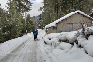 snowfall in Uttarkashi