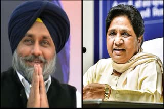 BSP supremo Mayawati will hold a rally in Nawanshahr today