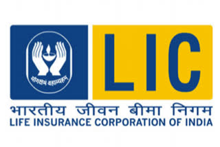 Life Insurance Corporation did not pay any dividend to the government in the last financial year and used the free reserves to increase its paid-up capital, which has now risen to Rs 6,325 crore, the government told Rajya Sabha on Tuesday.