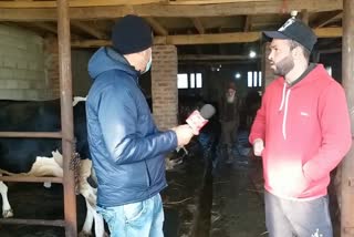 Sopore Youth Successfully Starts Dairy Farm: ’نوجوان نوکریوں کے بجائے خود روزگار کمانے کو ترجیح دیں‘