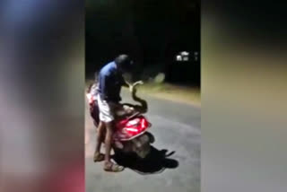 drunken-man-rides-scooter-with-python-in-kozhikode