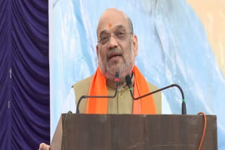 Union Home Minister Amit Shah on Wednesday said had former prime minister Jawaharlal Nehru's leadership been decisive, Goa would have attained Independence in 1947 like the rest of the country.