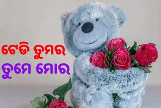 Teddy Day2022: ପ୍ରେମ ସମ୍ପର୍କର ଡୋରକୁ ମଜଭୁତ କରିଥାଏ ଟେଡି