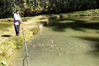 Belthangady farmer succeed in Fish farming