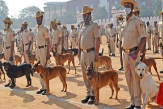 K-9 Squad Kerala police  dog Squad of Kerala police  23 dogs join dog Squad of Kerala  കെ 9 ഡോഗ് സ്ക്വാഡിലേക്ക് 23 നായ്‌ക്കുട്ടികൾ  കേരള പൊലീസ് ഡോഗ് സ്ക്വാഡ്  ഡോഗ് സ്ക്വാഡ് പാസ്സിംഗ് ഔട്ട്