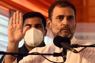 Rahul Gandhi campaigned for Congress
