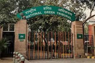 MP government reprimanded for mining of Jabalpur NGT
