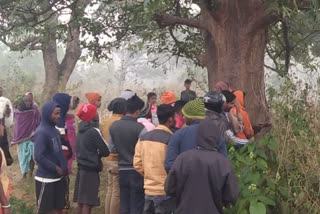 Couple found hanging from a tree in Jamshedpur's village, police suspects suicide