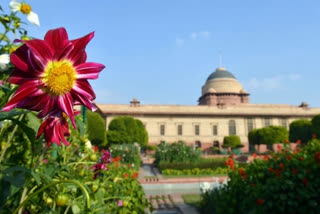 Delhi: Mughal Gardens to open for public from February 12 to March 16