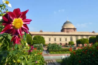 mughal gardens in rashtrapati bhavan to open for public