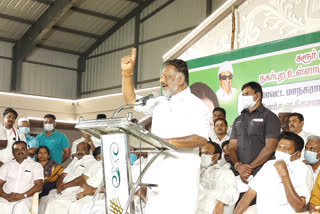 ops election campaign at karur