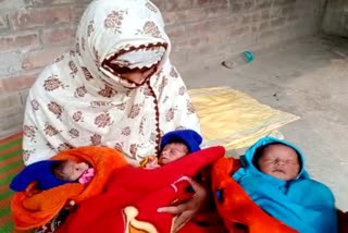 Triplets Birth in Nadia