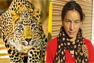 leopard attacked on woman