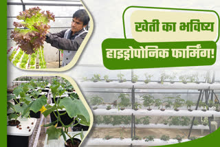 software-engineer-chandan-upadhyay-doing-hydroponic-farming-in-ranchi