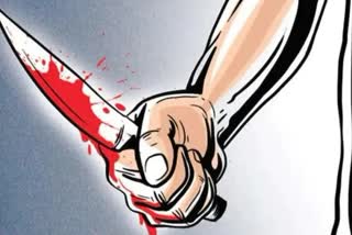 Jilted lover stabs woman in Karnataka