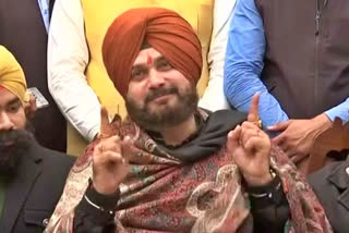 Navjot Singh Sidhu, President of Punjab Pradesh Congress Committee