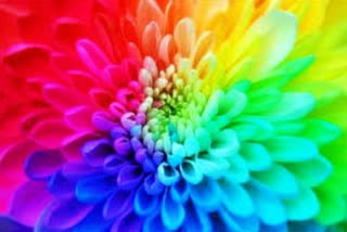 How Colour Therapy Can Improve Mood And Lifestyle what is colour therapy mental health tips tips to improve mood கலர் தெரப்பி கலர் தெரப்பியின் நன்மைகள் கலர் தெரப்பி என்றால் என்ன மனநிலையை மேம்படுத்த குறிப்புகள்